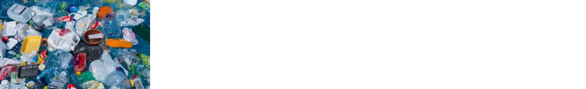 Sustainability Consulting